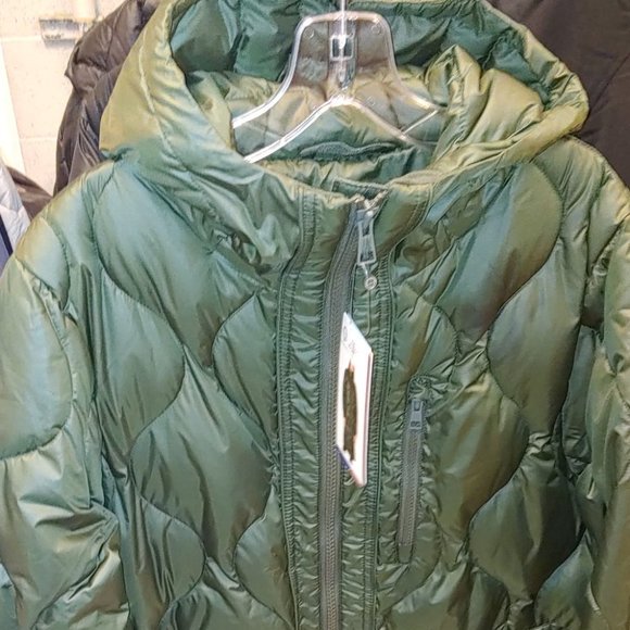 MONDETTA Women Quilted Down Parka 650 Fill Power--Green - Picture 8 of 10